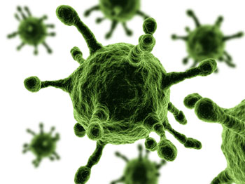 humani papiloma virus