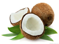 kokosov orah