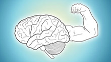 vežbanje i mozak